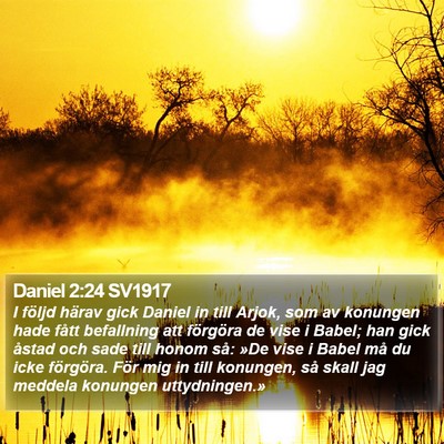 Daniel 2:24 SV1917 Bible Verse Image