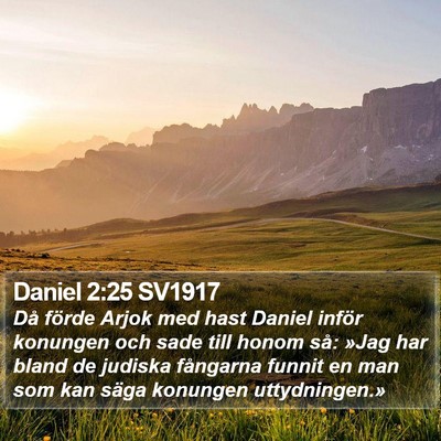 Daniel 2:25 SV1917 Bible Verse Image