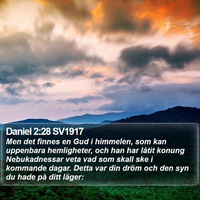 Daniel 2:28 SV1917 Bible Verse Image
