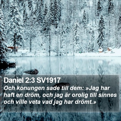 Daniel 2:3 SV1917 Bible Verse Image