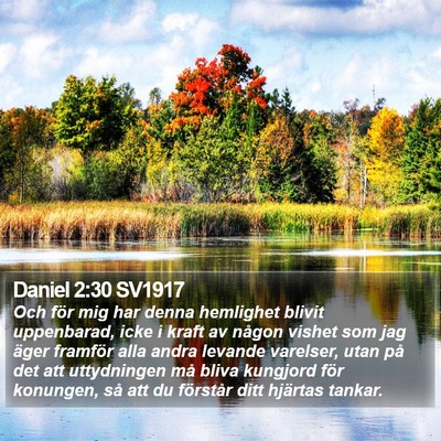 Daniel 2:30 SV1917 Bible Verse Image
