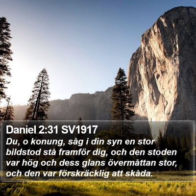 Daniel 2:31 SV1917 Bible Verse Image