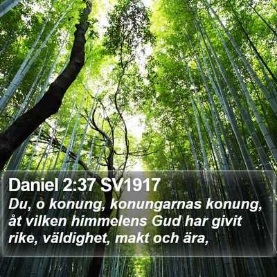 Daniel 2:37 SV1917 Bible Verse Image