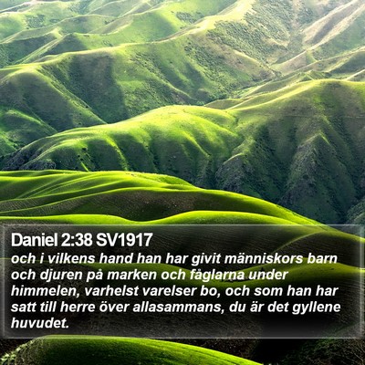 Daniel 2:38 SV1917 Bible Verse Image