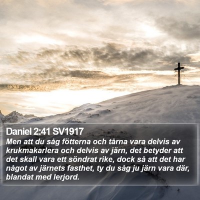 Daniel 2:41 SV1917 Bible Verse Image