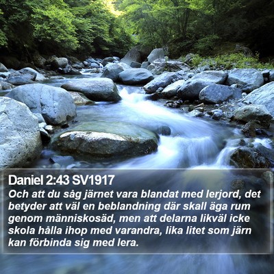 Daniel 2:43 SV1917 Bible Verse Image