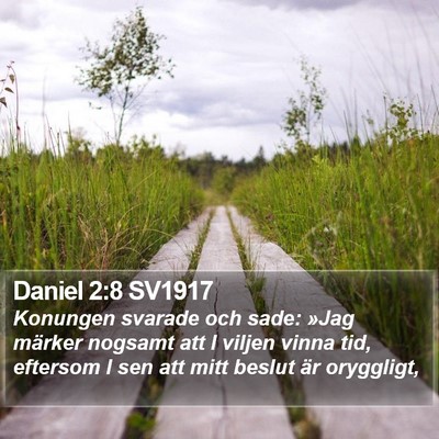 Daniel 2:8 SV1917 Bible Verse Image