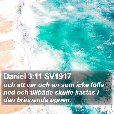 Daniel 3:11 SV1917 Bible Verse Image