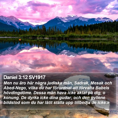 Daniel 3:12 SV1917 Bible Verse Image