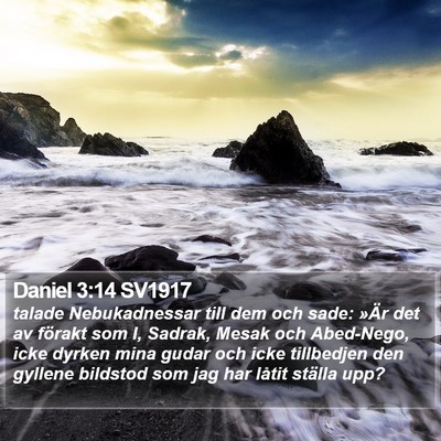 Daniel 3:14 SV1917 Bible Verse Image