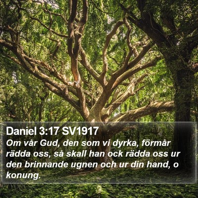 Daniel 3:17 SV1917 Bible Verse Image