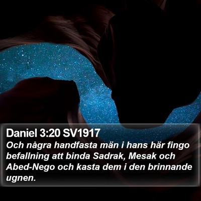 Daniel 3:20 SV1917 Bible Verse Image