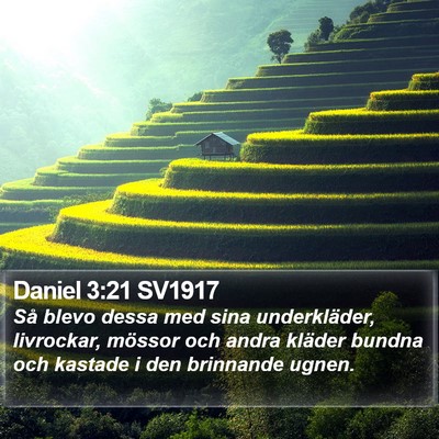 Daniel 3:21 SV1917 Bible Verse Image