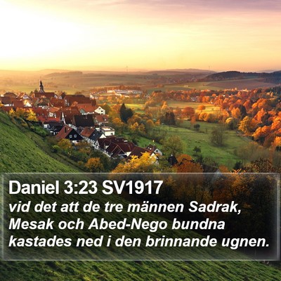 Daniel 3:23 SV1917 Bible Verse Image
