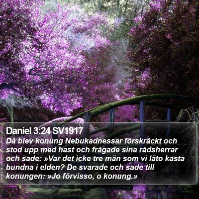 Daniel 3:24 SV1917 Bible Verse Image