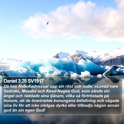 Daniel 3:28 SV1917 Bible Verse Image