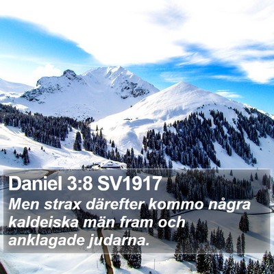 Daniel 3:8 SV1917 Bible Verse Image