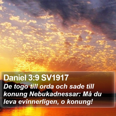 Daniel 3:9 SV1917 Bible Verse Image