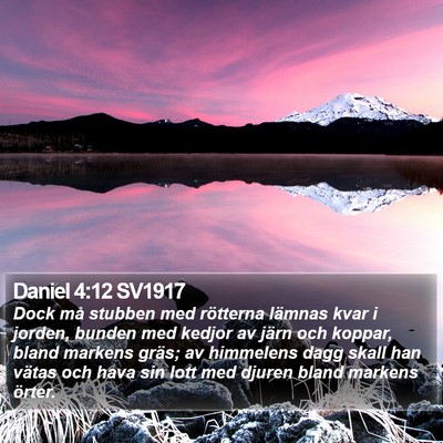 Daniel 4:12 SV1917 Bible Verse Image