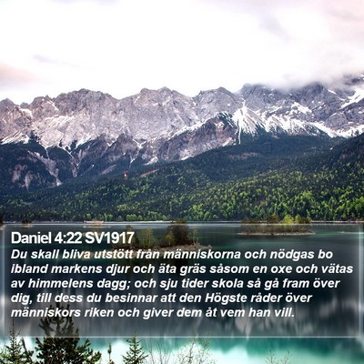 Daniel 4:22 SV1917 Bible Verse Image