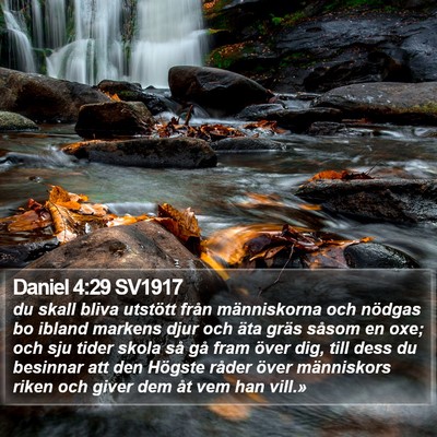 Daniel 4:29 SV1917 Bible Verse Image