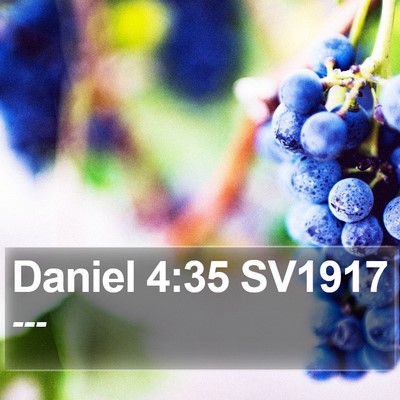 Daniel 4:35 SV1917 Bible Verse Image