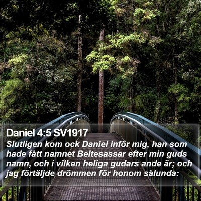 Daniel 4:5 SV1917 Bible Verse Image