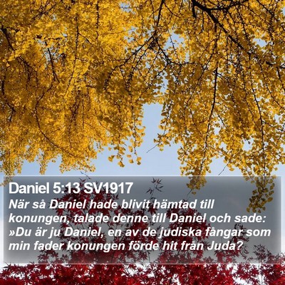 Daniel 5:13 SV1917 Bible Verse Image