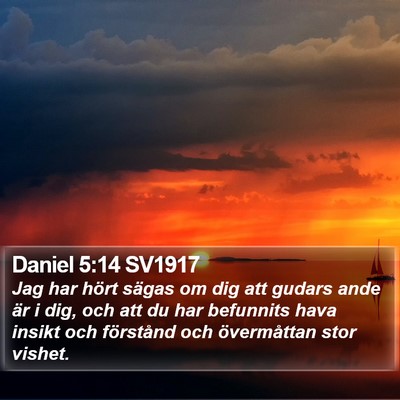 Daniel 5:14 SV1917 Bible Verse Image