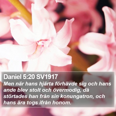 Daniel 5:20 SV1917 Bible Verse Image