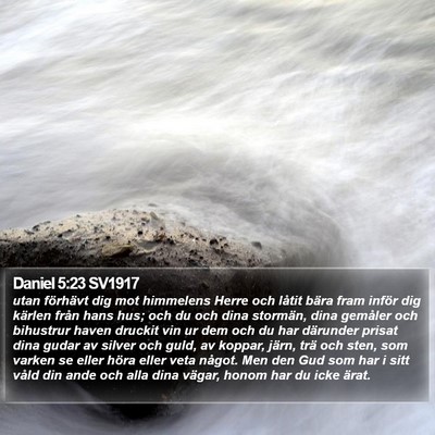 Daniel 5:23 SV1917 Bible Verse Image