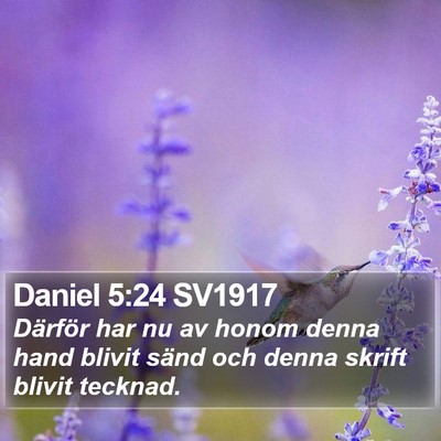 Daniel 5:24 SV1917 Bible Verse Image