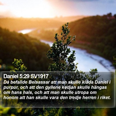 Daniel 5:29 SV1917 Bible Verse Image