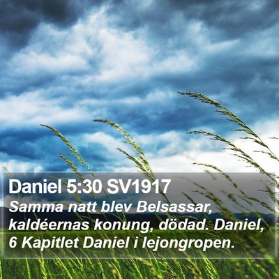 Daniel 5:30 SV1917 Bible Verse Image