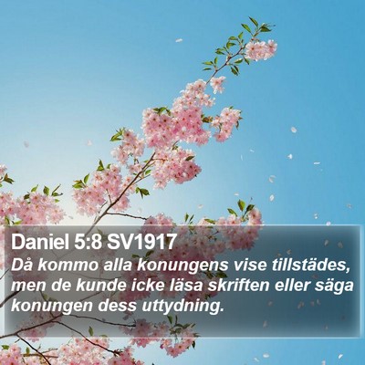 Daniel 5:8 SV1917 Bible Verse Image