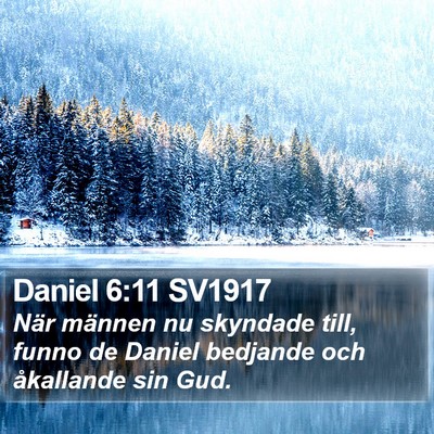 Daniel 6:11 SV1917 Bible Verse Image
