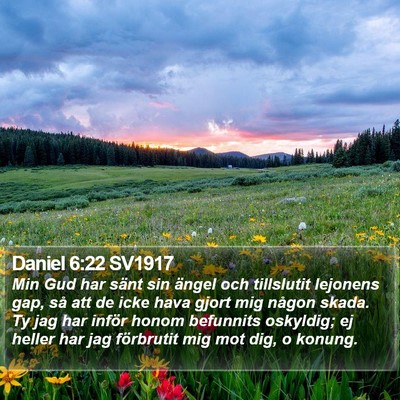 Daniel 6:22 SV1917 Bible Verse Image