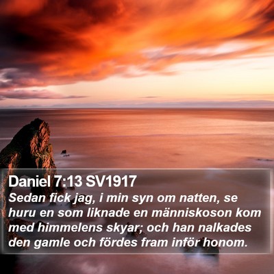 Daniel 7:13 SV1917 Bible Verse Image