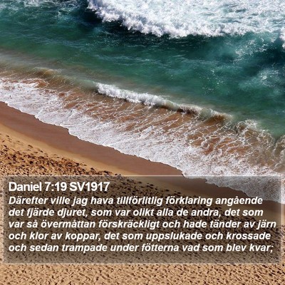 Daniel 7:19 SV1917 Bible Verse Image