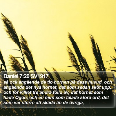 Daniel 7:20 SV1917 Bible Verse Image