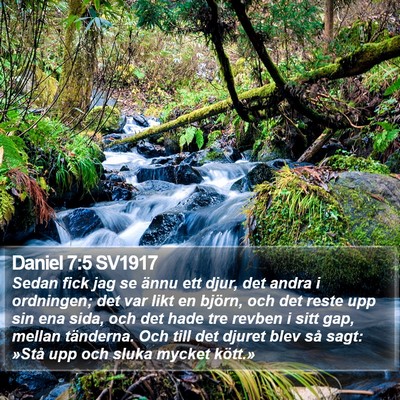Daniel 7:5 SV1917 Bible Verse Image