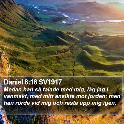 Daniel 8:18 SV1917 Bible Verse Image