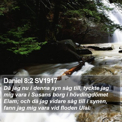Daniel 8:2 SV1917 Bible Verse Image