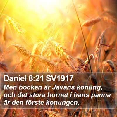 Daniel 8:21 SV1917 Bible Verse Image