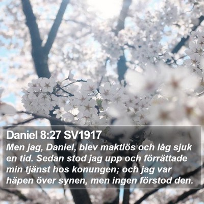 Daniel 8:27 SV1917 Bible Verse Image