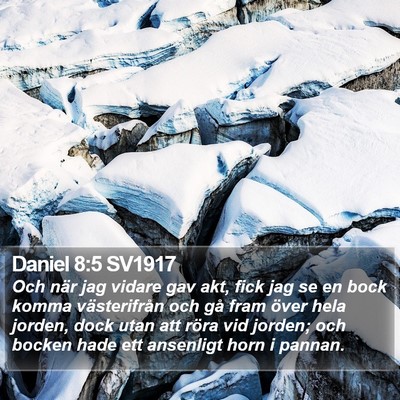 Daniel 8:5 SV1917 Bible Verse Image