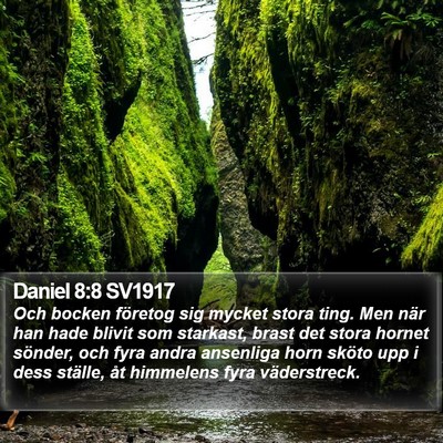 Daniel 8:8 SV1917 Bible Verse Image