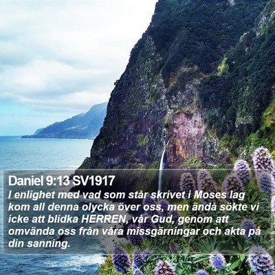 Daniel 9:13 SV1917 Bible Verse Image
