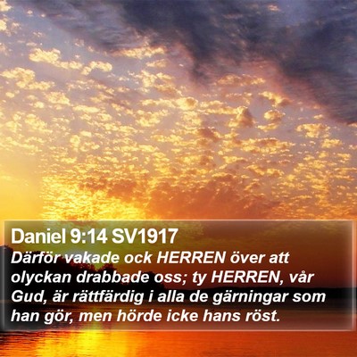 Daniel 9:14 SV1917 Bible Verse Image