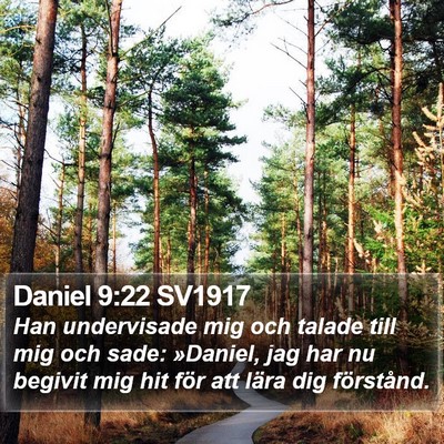 Daniel 9:22 SV1917 Bible Verse Image